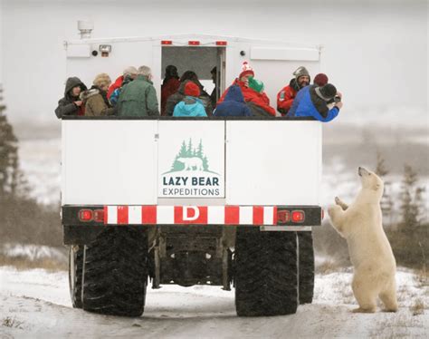 best time to go to churchill manitoba